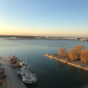 Meet your Posher, Kitty